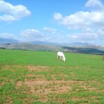 Lorem Ipsum 4 Lorem Ipsum Lorem Ipsum Lorem Ipsum
